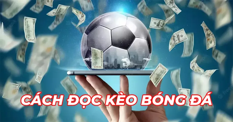 Cách đọc kèo bóng đá châu Á chấp nửa trái 0.5 Cách đọc kèo bóng đá châu Á chấp nửa trái 0.5
