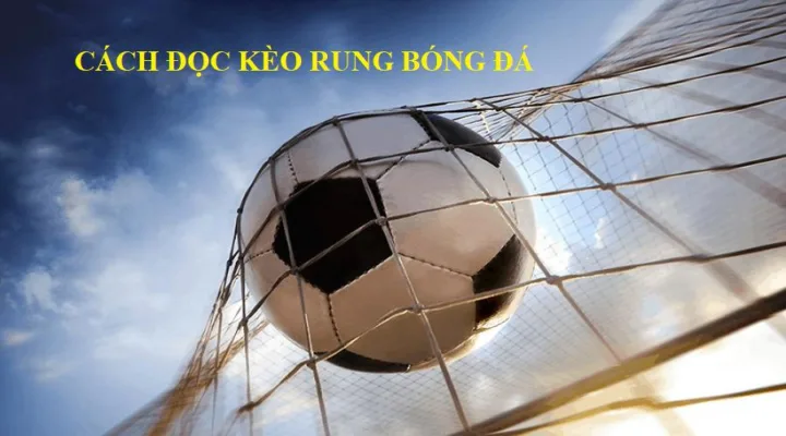 Kèo rung bóng đá có cách đọc rất đơn giản Kèo rung bóng đá có cách đọc rất đơn giản
