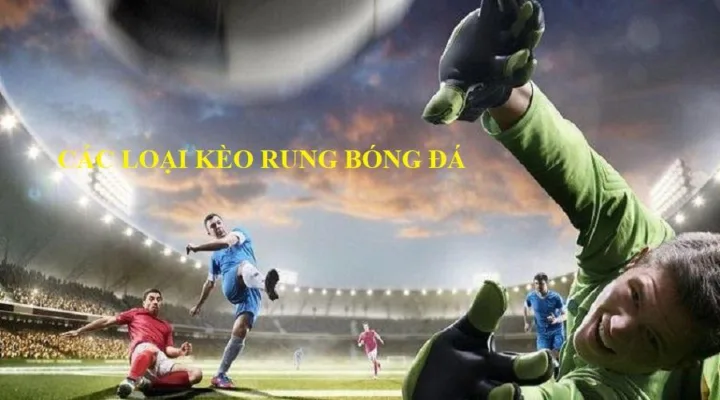 Kèo rung bóng đá có nhiều hình thức đặt cược Kèo rung bóng đá có nhiều hình thức đặt cược