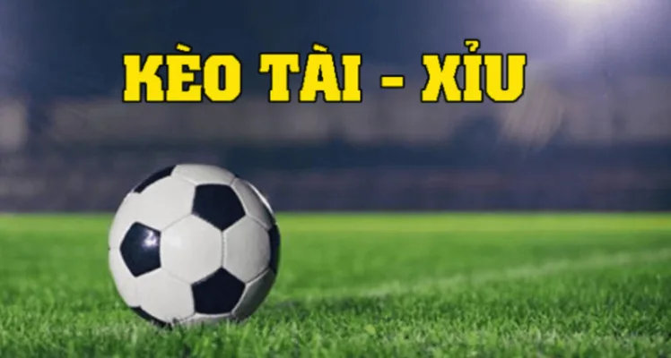 Kèo tài xỉu phổ biến trong cá độ bóng đá online Kèo tài xỉu phổ biến trong cá độ bóng đá online