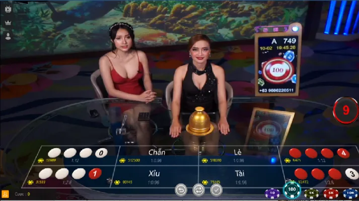 Người chơi khi tham gia Tài Xỉu ViClub hãy tham gia đặt cược Người chơi khi tham gia Tài Xỉu ViClub hãy tham gia đặt cược