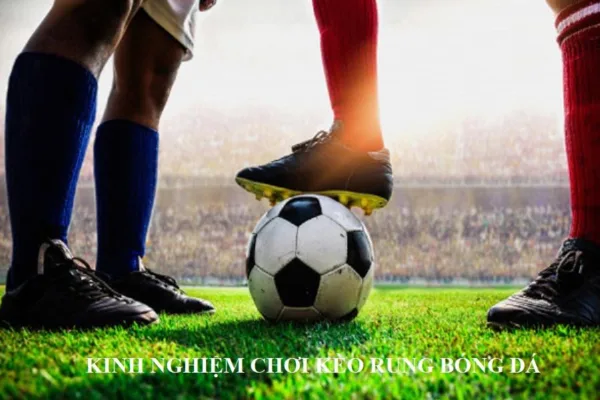 Vận dụng kinh nghiệm chơi kèo rung bóng đá để gia tăng cơ hội thắng Vận dụng kinh nghiệm chơi kèo rung bóng đá để gia tăng cơ hội thắng